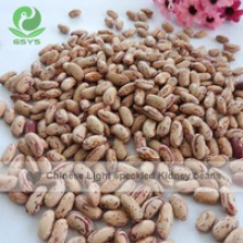 light speckled kidney beans long shape - product's photo