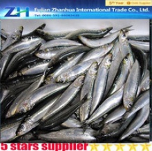  frozen sardine fish - product's photo