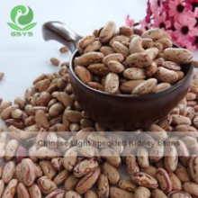 light speckled kidney beans sample free - product's photo