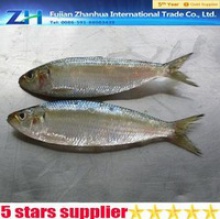  sardine fish - product's photo