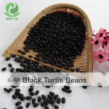 spanish black bean frijole negro - product's photo