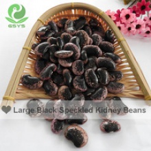 dark purple speckled kidney beans pinto bean - product's photo