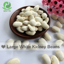large white kidney beans fagioli - product's photo