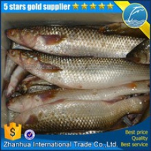 quality mullet fish roe - product's photo
