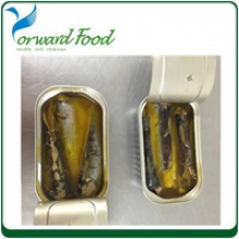  sardines canned  - product's photo