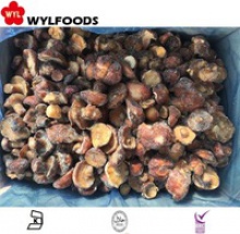 iqf price for frozen wild mushrooms - suillus granulatus - product's photo
