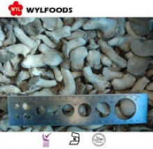 machines for frozen baby oyster mushroom china brands - product's photo