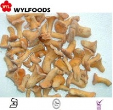 frozen chanterelle prices mushrooms - product's photo