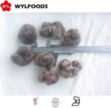 chinese hot sale best quality frozen truffle mushroom - product's photo