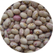 light speckled kidney beans huanan round shape - product's photo