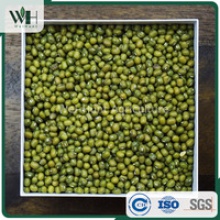 ama certified green mung bean - product's photo
