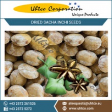 dried sacha inchi seeds - product's photo