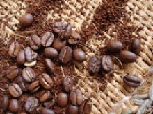 gourmet coffee - product's photo