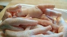 20x40fcl chicken paws/feet grade a processed ready for shipment - product's photo