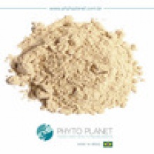 instant graviola pulp powder - product's photo
