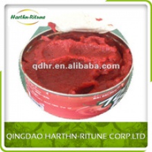  canned tomato paste - product's photo