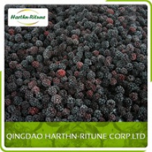 dark red or black frozen blackberry - product's photo