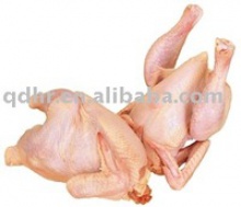  frozen halal bone in whole chicken - product's photo