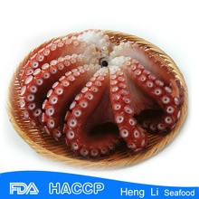 fresh octopus cheap price - product's photo