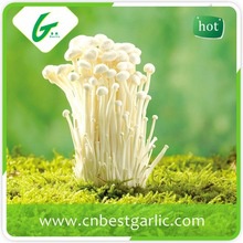 100% natural fresh enoki mushroom - product's photo