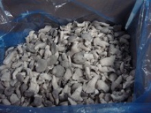 iqf frozen oyster mushroom baby oyster mushroom - product's photo