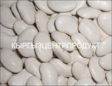 shovel 9+ white kidney beans - product's photo