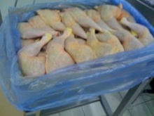 brazil origin grade a halal frozen whole chicken  - product's photo