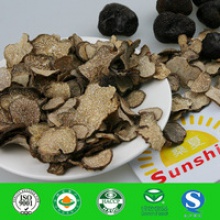dried truffle mushroom (in fungus) - product's photo