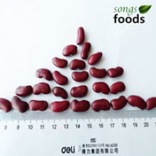 new dry fava beansand kidney beans - product's photo