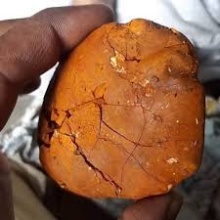 buy cow /ox gallstone available on stock now @ (whatsapp: +23767352822 - product's photo