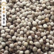 china supplier plant perilla seed - product's photo
