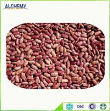 long shape light speckled kidney beans from china - product's photo