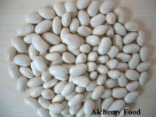 egyptian white beans with best quality - product's photo