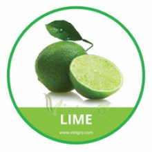  fresh seedless lime - product's photo
