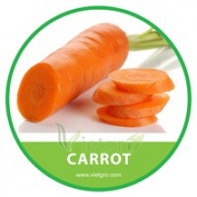 fresh organic carrot - product's photo