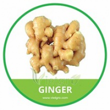 organic ginger - product's photo