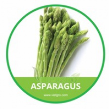  fresh asparagus  - product's photo