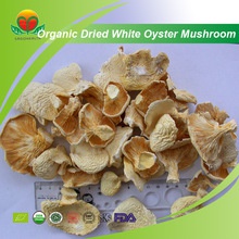 organic dried white oyster mushroom - product's photo
