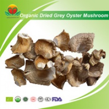 organic dried grey oyster mushroom - product's photo