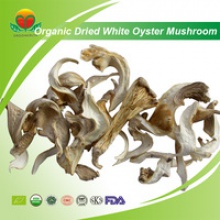 high quality organic dried white oyster mushroom - product's photo