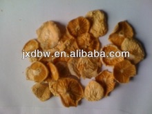 dried enoki mushroom - product's photo