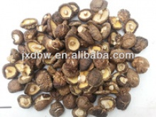 dried lentinus edodes - product's photo