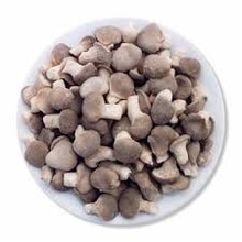 iqf frozen baby oyster mushroom - product's photo