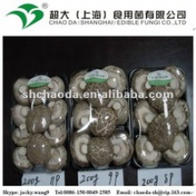 small packing shiitake mushroom - product's photo