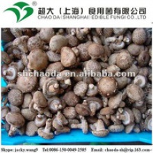 	fresh shiitake mushroom - product's photo