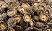 dried shiitake mushroom - product's photo