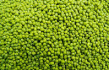 green mung beans - product's photo