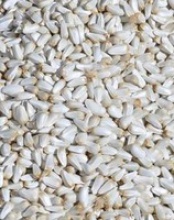 safflower oil seed - product's photo