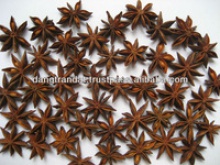  star aniseeds - product's photo