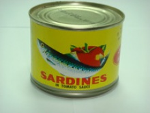 canned sardines - product's photo